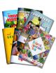 Learning Books for English Vocabulary, Grammar, Computer, EVS, Hindi Language and Festivals of India for Kids