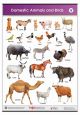 Animals and Birds Learning Chart
